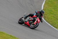 PJ-Motorsport-2019;anglesey-no-limits-trackday;anglesey-photographs;anglesey-trackday-photographs;enduro-digital-images;event-digital-images;eventdigitalimages;no-limits-trackdays;peter-wileman-photography;racing-digital-images;trac-mon;trackday-digital-images;trackday-photos;ty-croes
